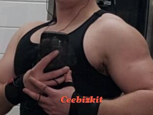 Ceebizkit