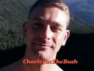CharleyInTheBush