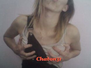Chaton31