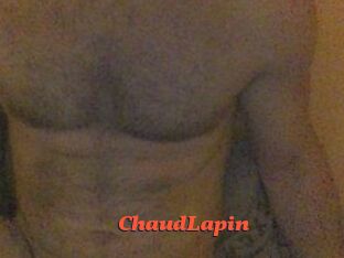 ChaudLapin