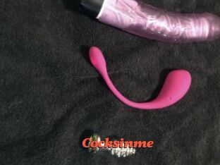 Cocksinme