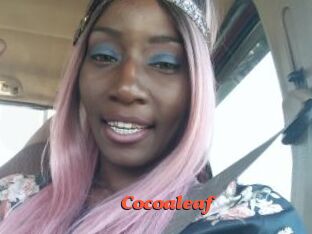 Cocoaleaf