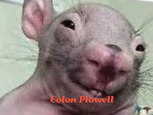 Colon_Plowell