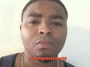 Companion33