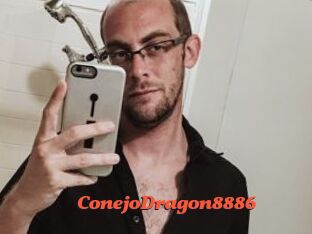 ConejoDragon8886