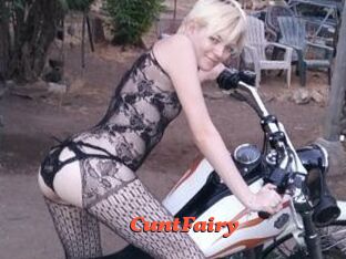 CuntFairy