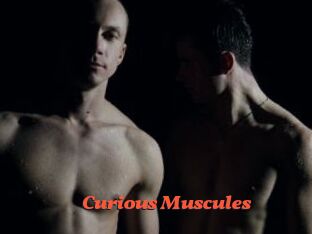 Curious_Muscules