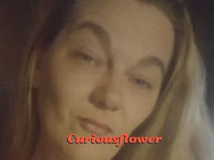 Curiousflower