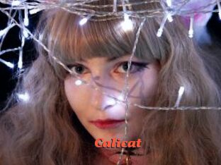 Calicat