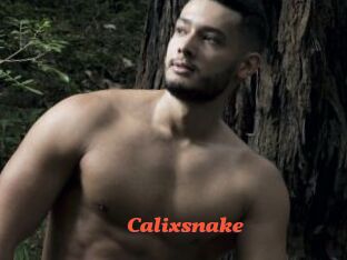 Calixsnake