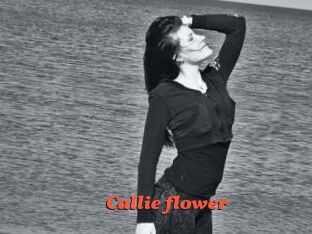 Callie_flower