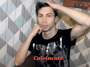 Calvincute