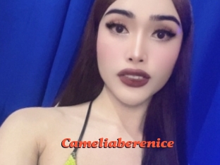 Cameliaberenice
