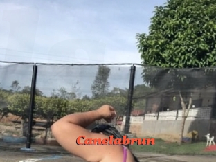 Canelabrun