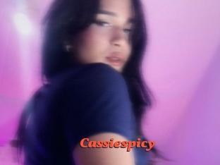 Cassiespicy