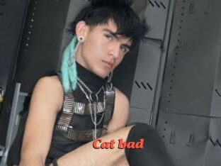 Cat_bad