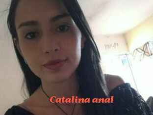 Catalina_anal