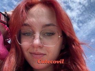 Catecovil