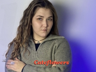 Cateflowers