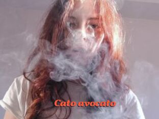Cato_avocato