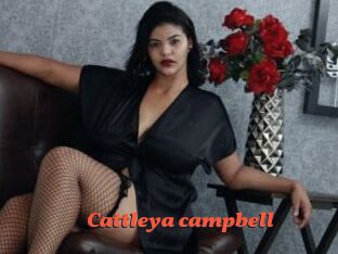 Cattleya_campbell