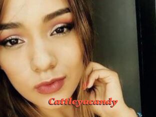 Cattleyacandy