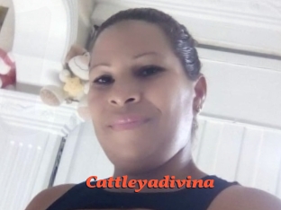 Cattleyadivina