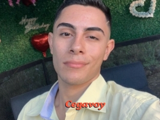 Cegavoy