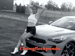 Changfleekpanda