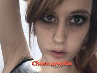 Chaos_arailia