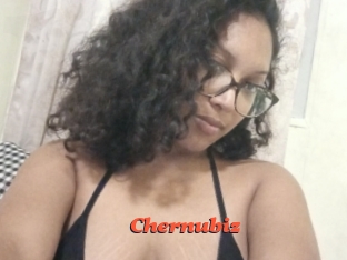 Chernubiz