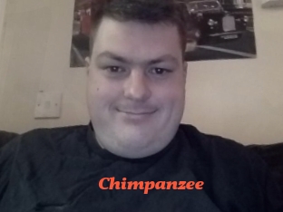 Chimpanzee