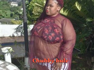 Chubby_bule