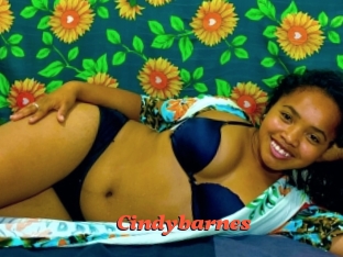 Cindybarnes