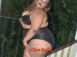 Cleo_bule