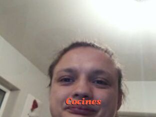 Cocines