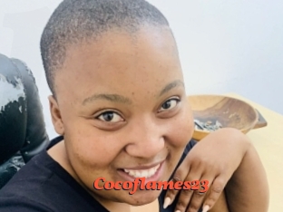 Cocoflames23