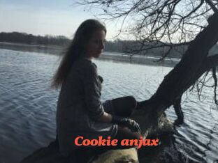 Cookie_anjax