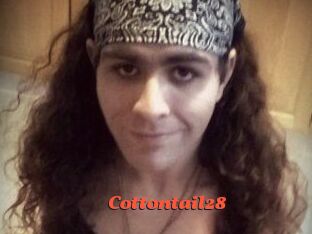 Cottontail28