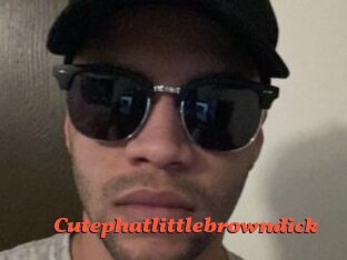 Cutephatlittlebrowndick