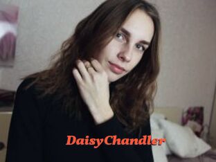 DaisyChandler