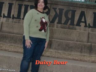 Daisy_Bear