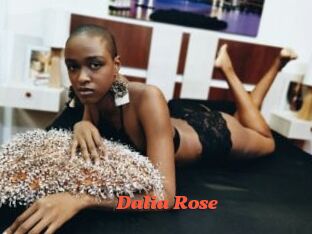 Dalia_Rose