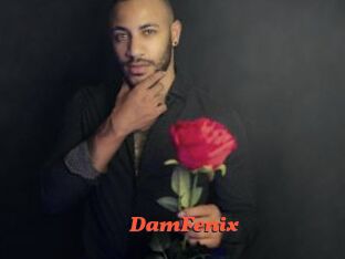 DamFenix