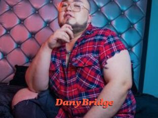 DanyBridge