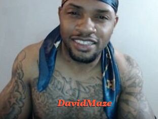 David_Maze