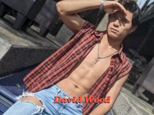 David_Wood