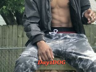 Day1DOG