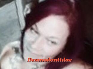 Desmodontidae