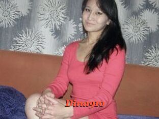 Dina910